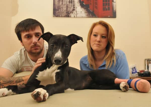 Amy Young and partner Callum whose dog Molly suffered a horrendous injury caused by broken glass