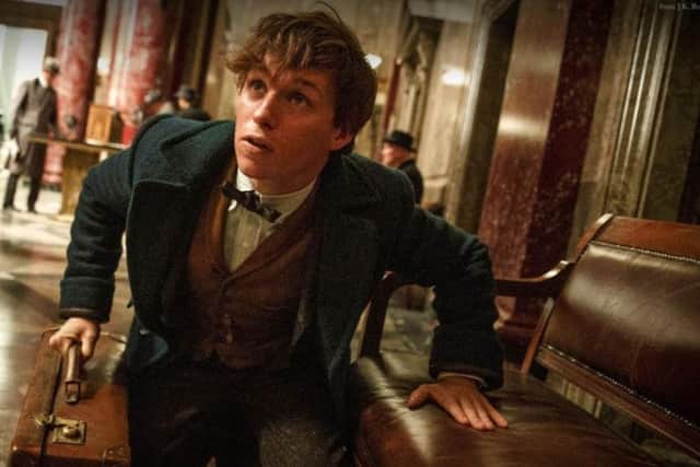 Eddie Redmayne in Fantastic Beasts And Where to Find Them