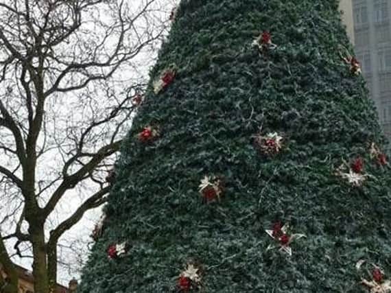 It is thought that the tree was wrecked on Sunday evening.