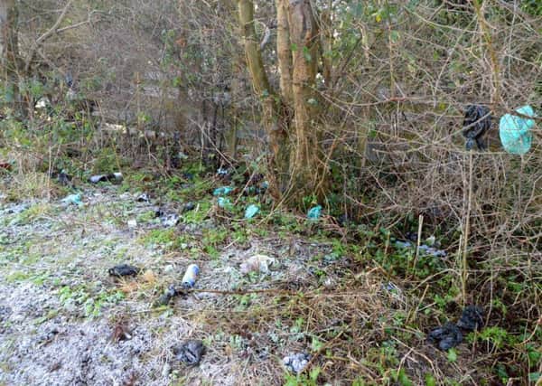 Bags of dog waste and litter dumped next to the canal at New Springs