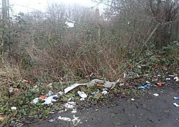 Rubbish dumped near the canal towpath in Higher Ince, spotted by photographer Steve Heaton