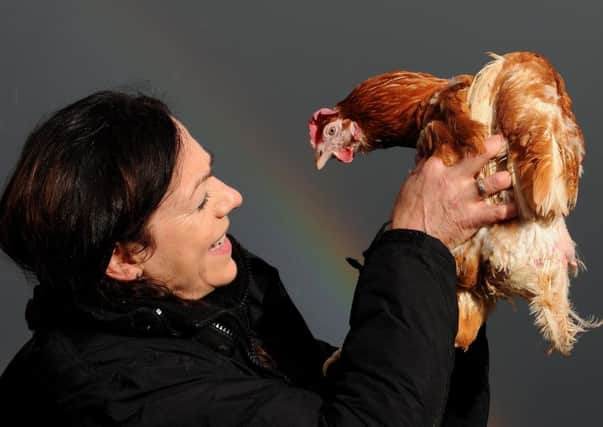 Lucky Hens Rescue owner Alison Thorpe