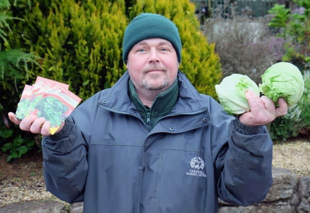 Undated Cardwell Garden Centre handout photo 
of its gardening expert Brian Hawthorne with lettuce seeds and lettuces, as consumers are starting to grow their own lettuce after bad weather across Europe caused a shortage in supplies. PRESS ASSOCIATION Photo. Issue date: Friday February 10, 2017. See PA story CONSUMER Lettuce. Photo credit should read: Cardwell Garden Centre/PA Wire

NOTE TO EDITORS: This handout photo may only be used in for editorial reporting purposes for the contemporaneous illustration of events, things or the people in the image or facts mentioned in the caption. Reuse of the picture may require further permission from the copyright holder.