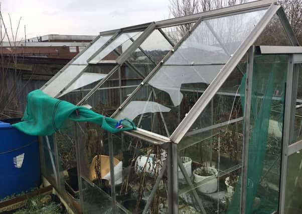 A greenhouse with its glass smashed on the allotment at Stubshaw Cross