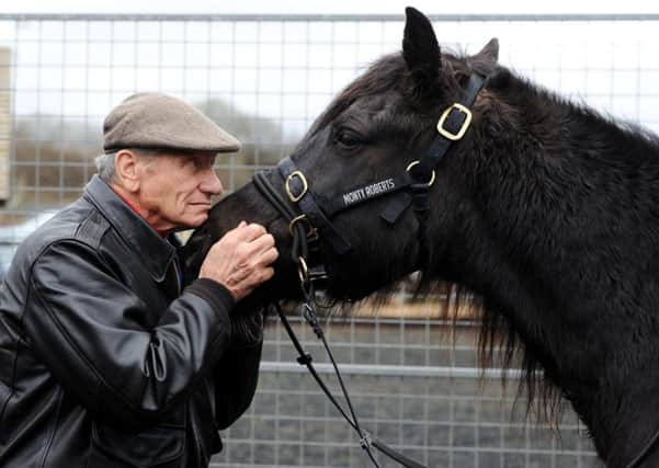 World famous horse whisperer Monty Roberts