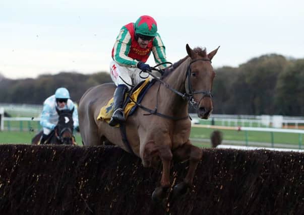 David Pipe believes Randox Health Grand National favourite Vieux Lion Rouge "ticks a lot of the boxes" ahead of the world's greatest steeplechase at Aintree on Saturday