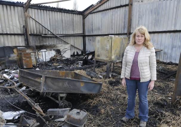 Volunteer and board member at Greenslate Community Farm, Dawn Heywood, at the barn that was destroyed by a fire