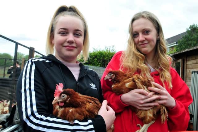 Sisters Grace and Megan Roberts picked up three hens