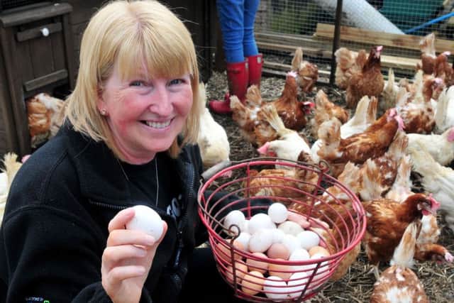 Jacqueline Keane gathers the eggs
