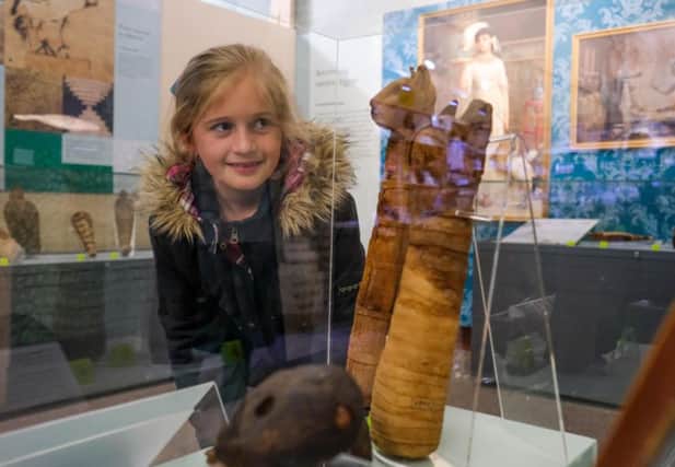 Egyptian Animal Mummies Uncovered exhibition at  The Museum of Wigan Life  Jessica Parton looks at some of the exhibits.