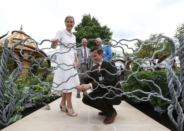 James Spedding shows Sophie Countess of Wessex a gate garden feature in the Blind Veterans UK 'It's all about community garden', during the press day for the RHS Hampton Court Palace Flower Show 2017 at Hampton Court, London