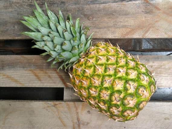 Pineapples will not be allowed into either the arena or the campsite