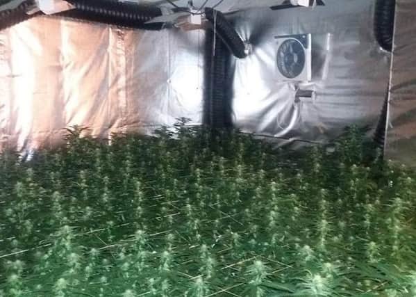 The cannabis farm discovered by GMP on Bryn Road, Ashton