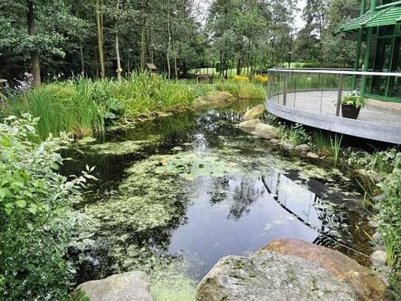 The beautiful gardens at the hospice