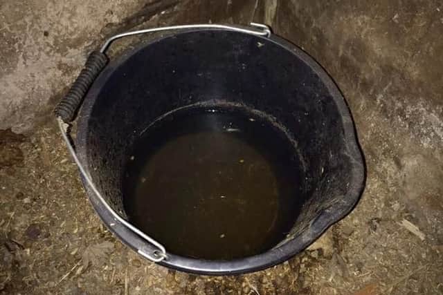 A bucket of water in one of the 'cells'