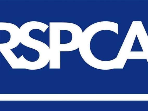 The mother-and-son were prosecuted by the RSPCA