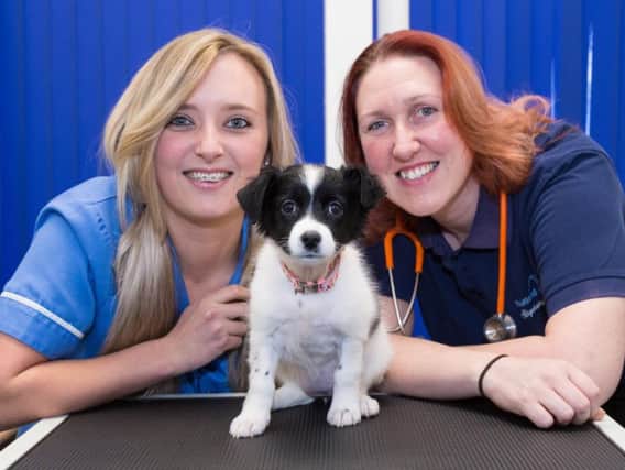 Abby Mellors (left) and Rutland House vet Steph Walsh, with puppy Winter