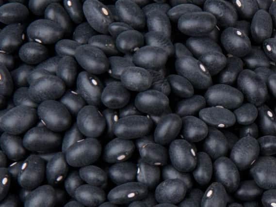 Black beans are a great source of protein