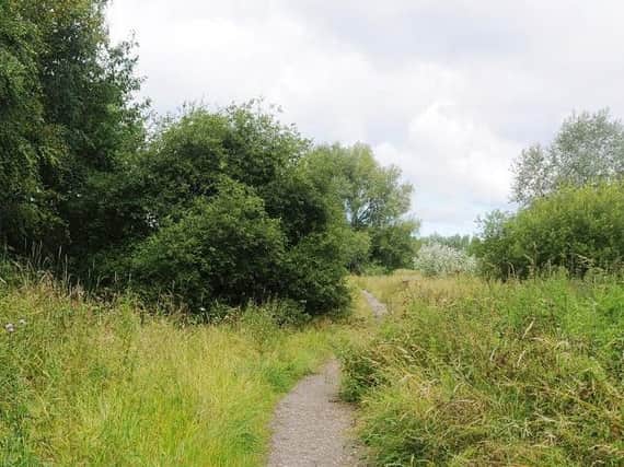 Police were called after the woman was raped at Amberswood nature reserve on Sunday afternoon