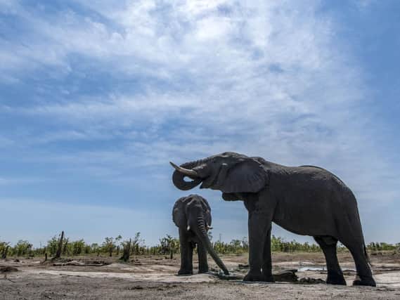 A correspondent says its our duty to look after our planet