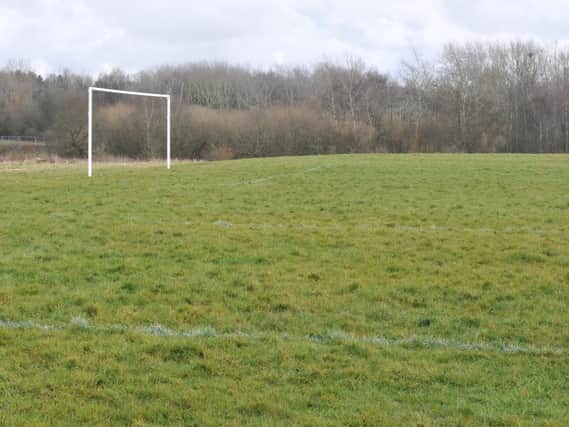 Nine football pitches owned by the council or boroughs leisure organisation could be sold off, says a report