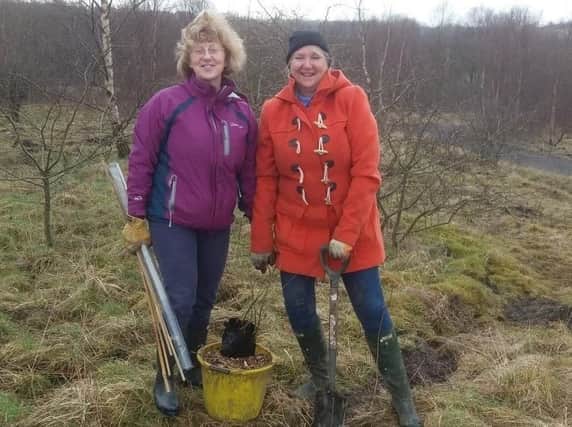 Volunteers have helped plant thousands of trees and shrubs