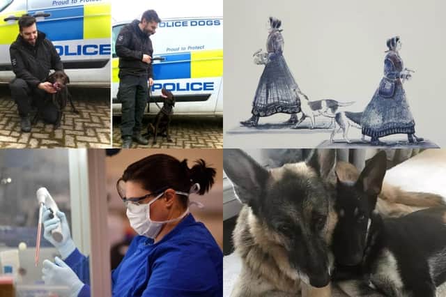 Did you miss any of these stories this week?